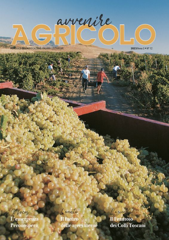 Avvenire Agricolo, cambiamenti climatici, guerra